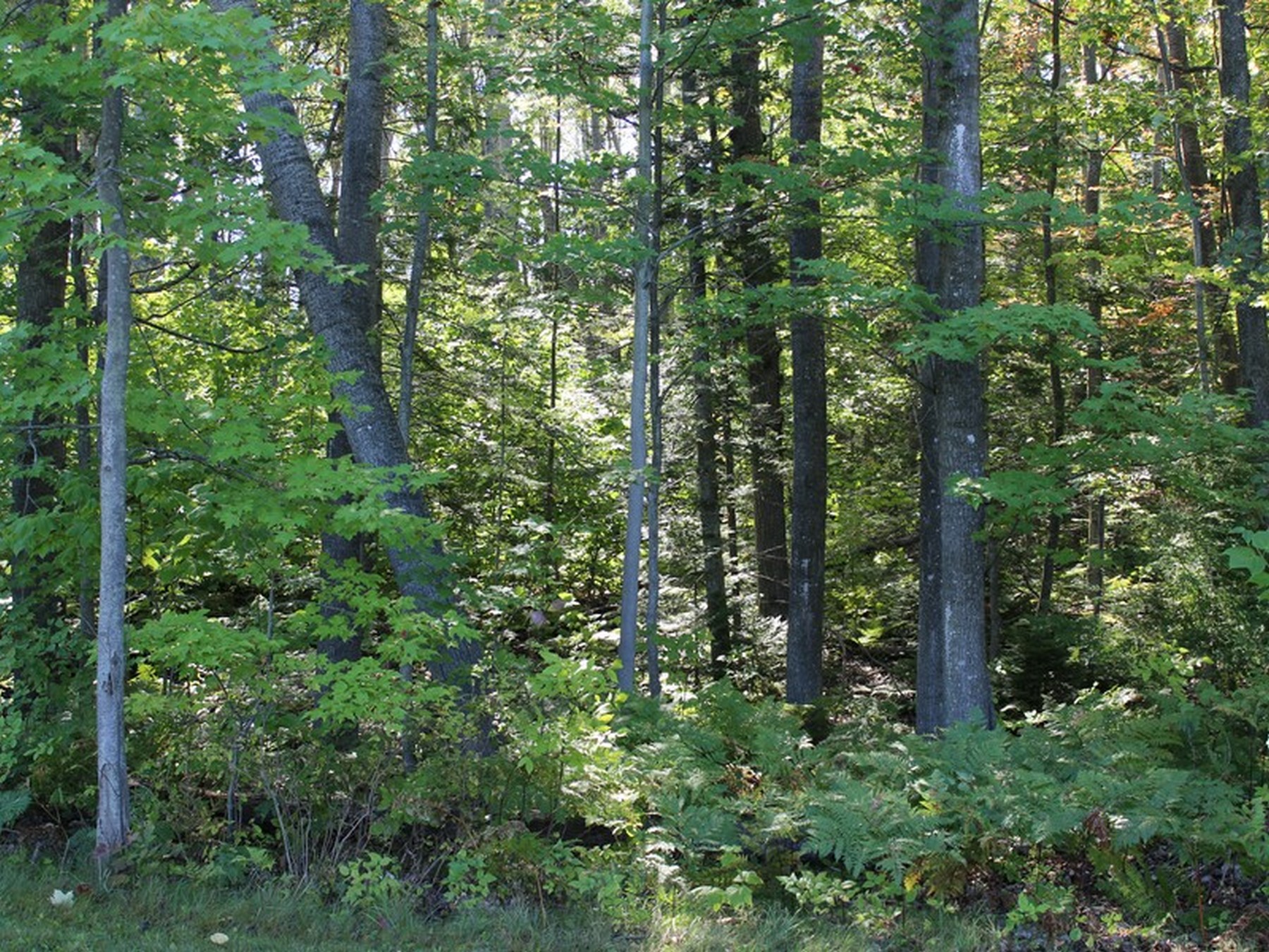 Building lot in Bay Harbor's Preserve South neighborhood