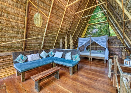 Beachfront Eco Lodge and Retreat in Cabo Matapalo, Osa Peninsula