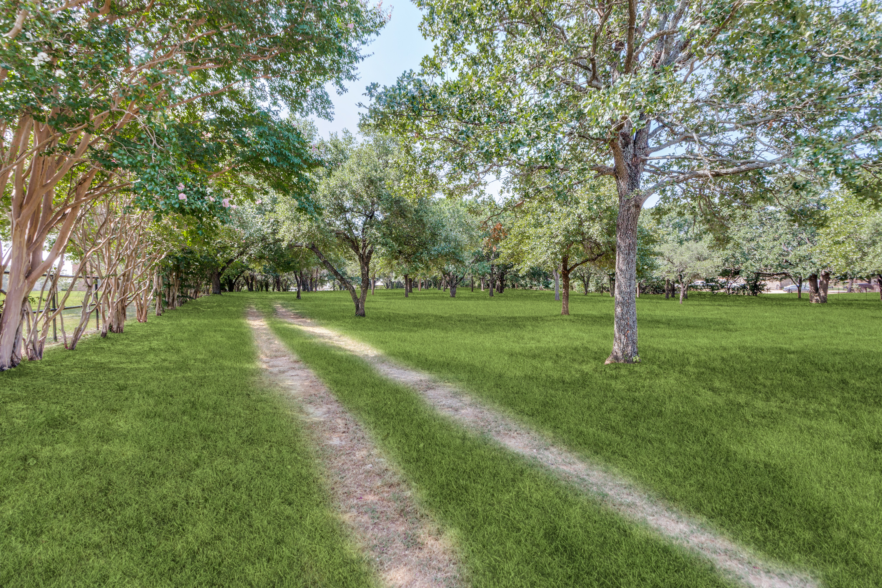 A Picturesque 2-Acre Wooded Lot in Mansfield