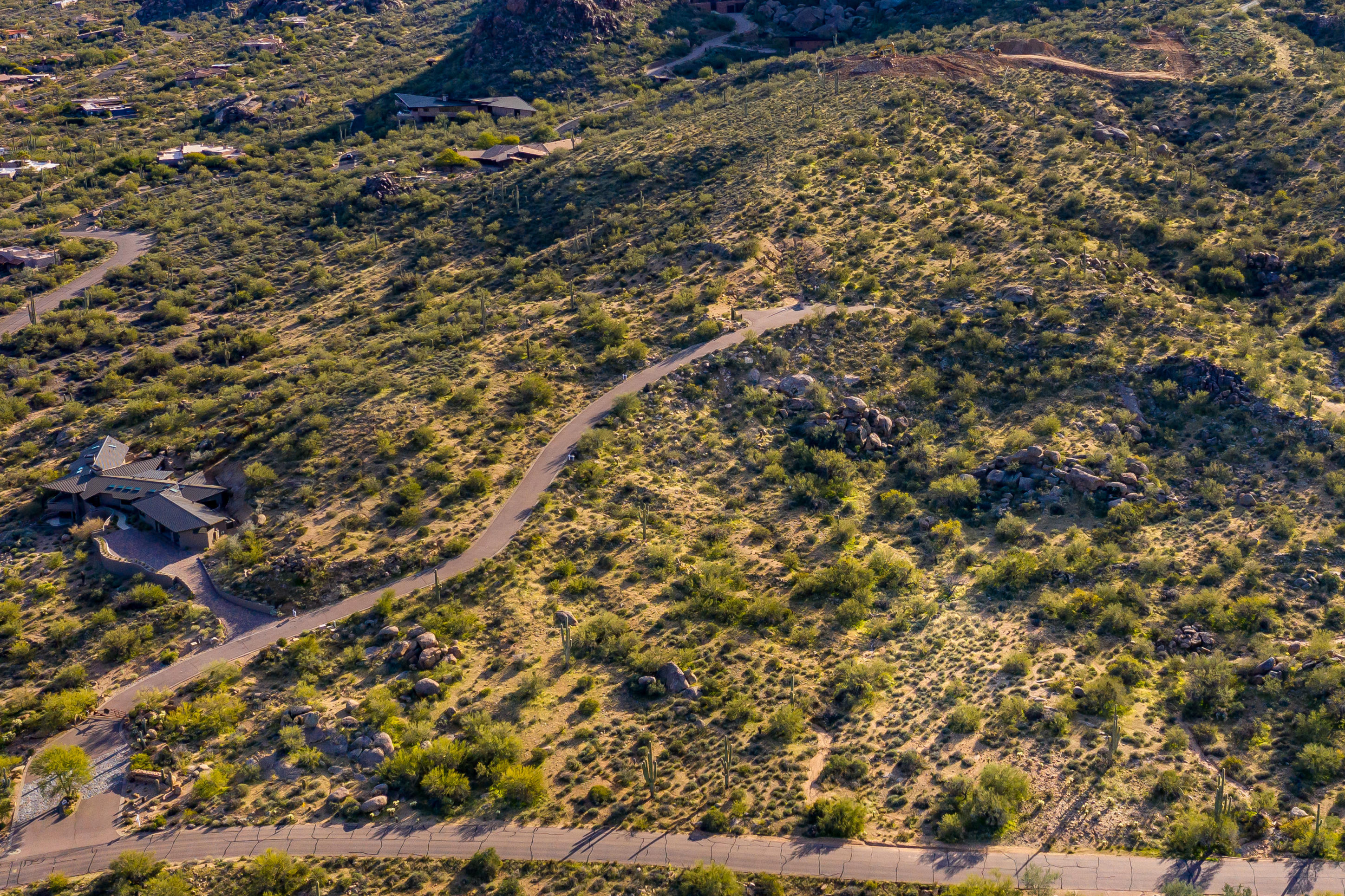 Nighthawk on Black Mountain