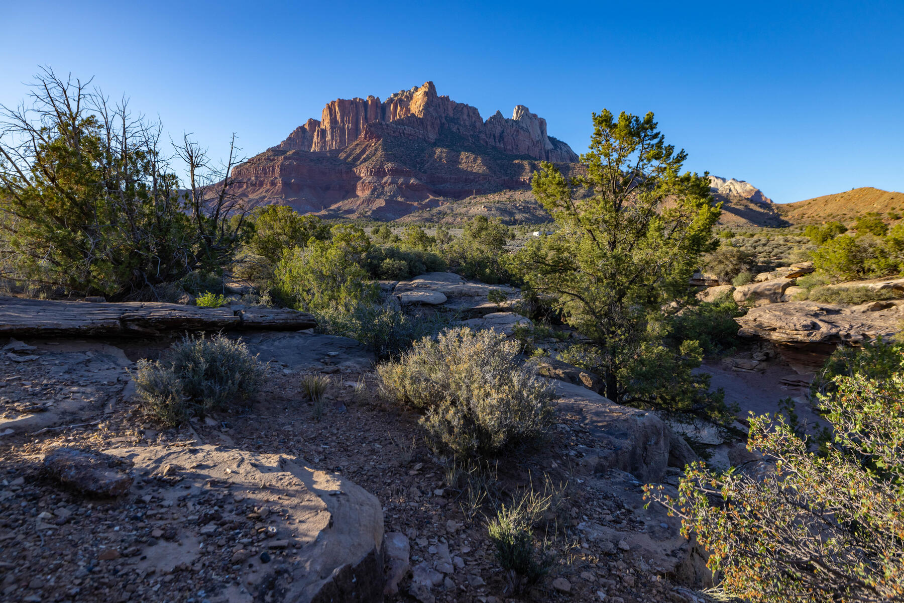 A Piece Of Heaven In Zion