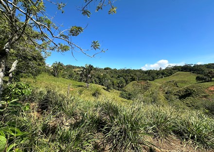 Farm to Develop in Pacuarito