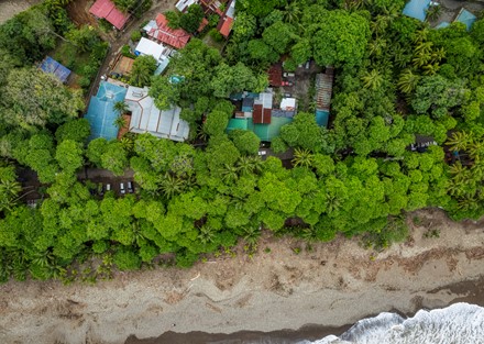 Successful Beachfront Business in Playa Dominical