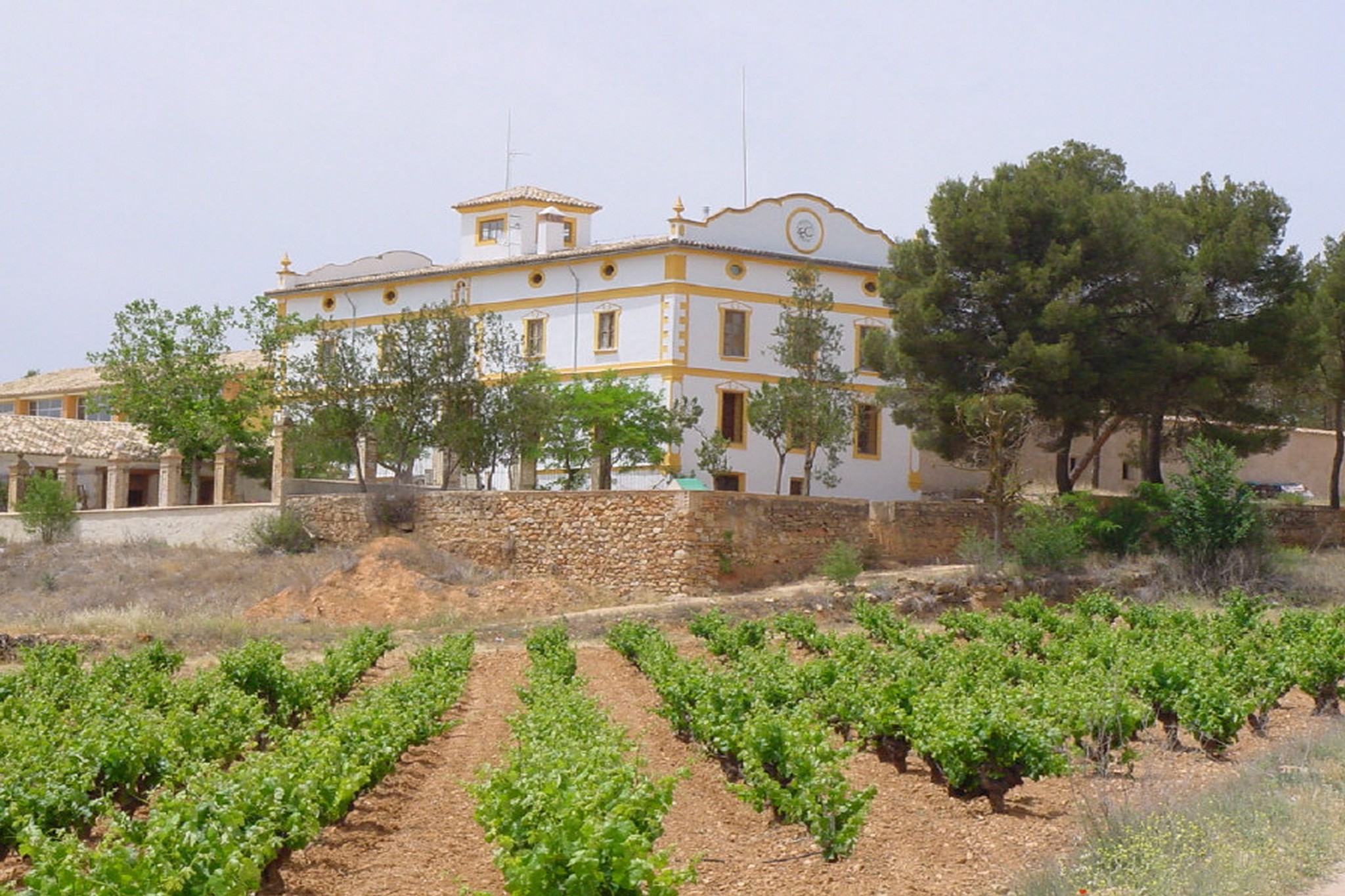 Exclusive Finca and Winery in Requena