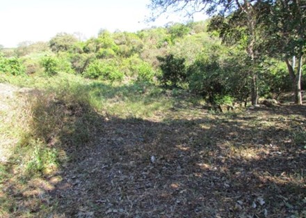 Residential lot with great view for sale in Santa Ana