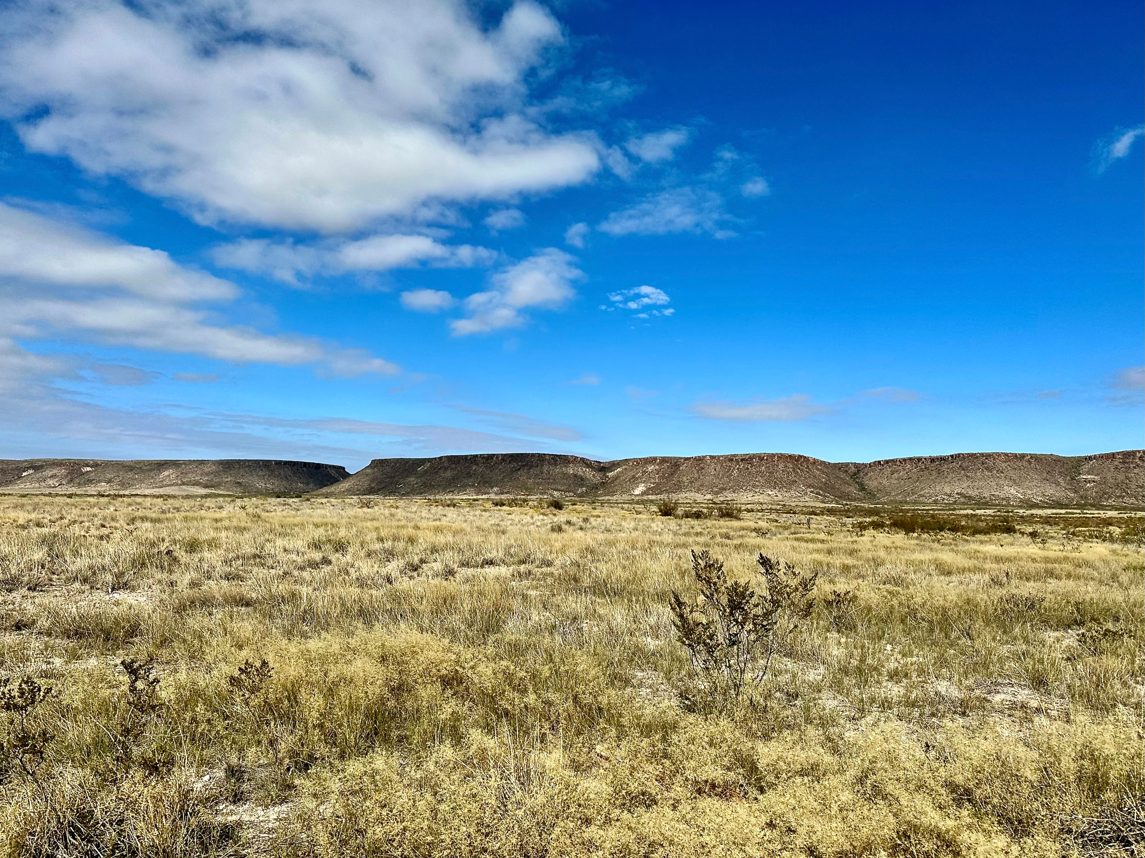 Alamito Rim, Ranch Road 169, Marfa, TX 79843