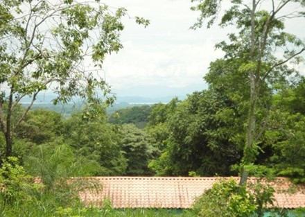 Processing farm with 126 hectares in Guanacaste for Sale