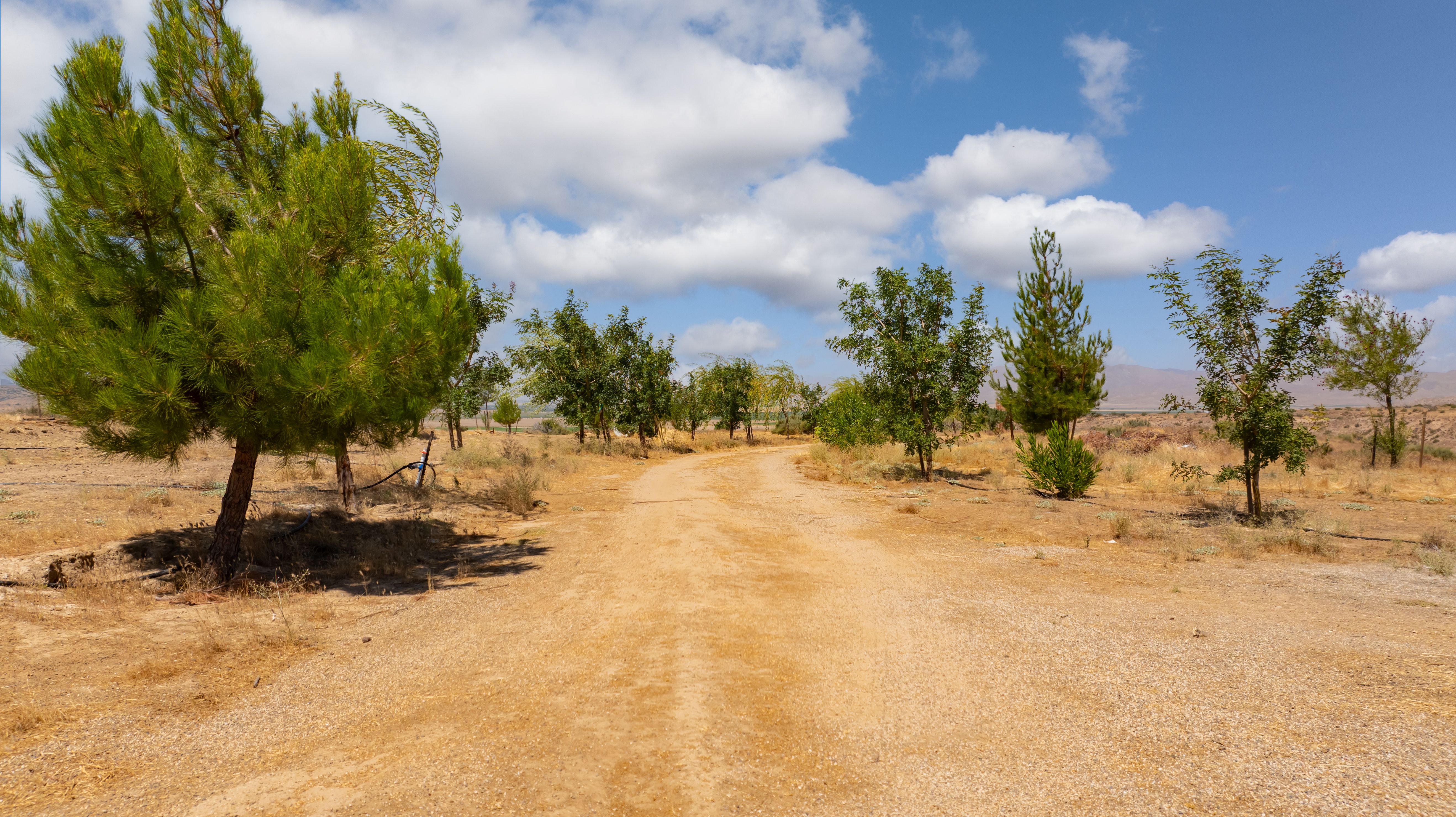 Highway 33,Cuyama, CA, 93254