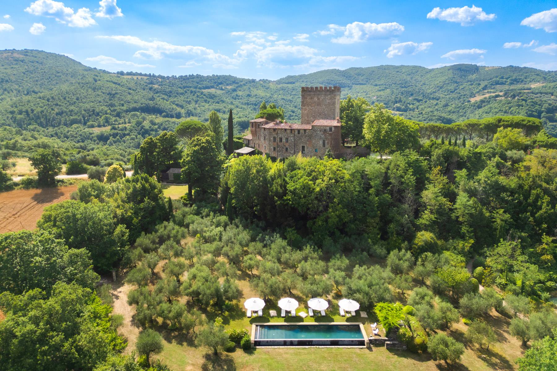 Medieval castle with pool, tennis court and tree house