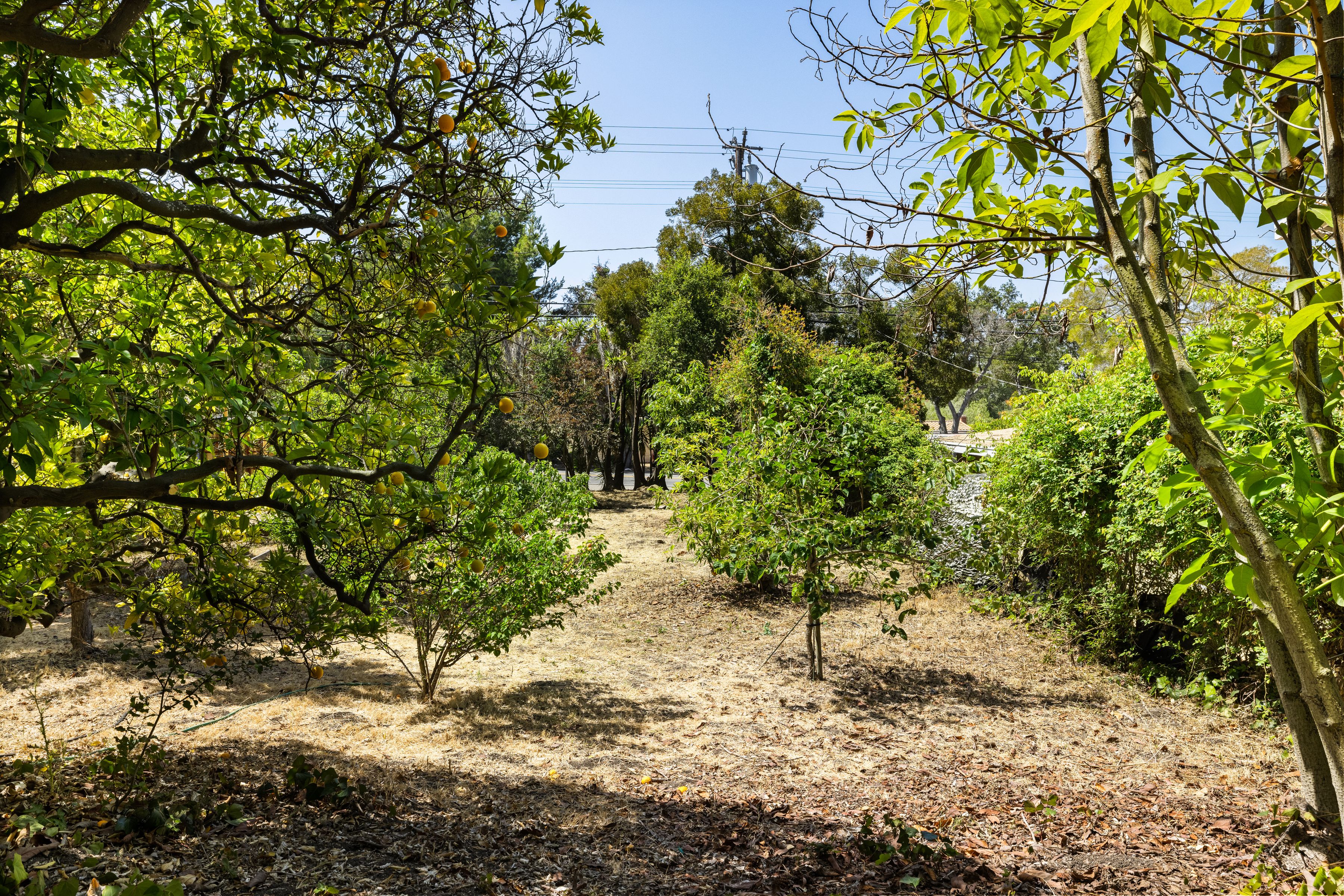 Buildable Lot near Old Mission