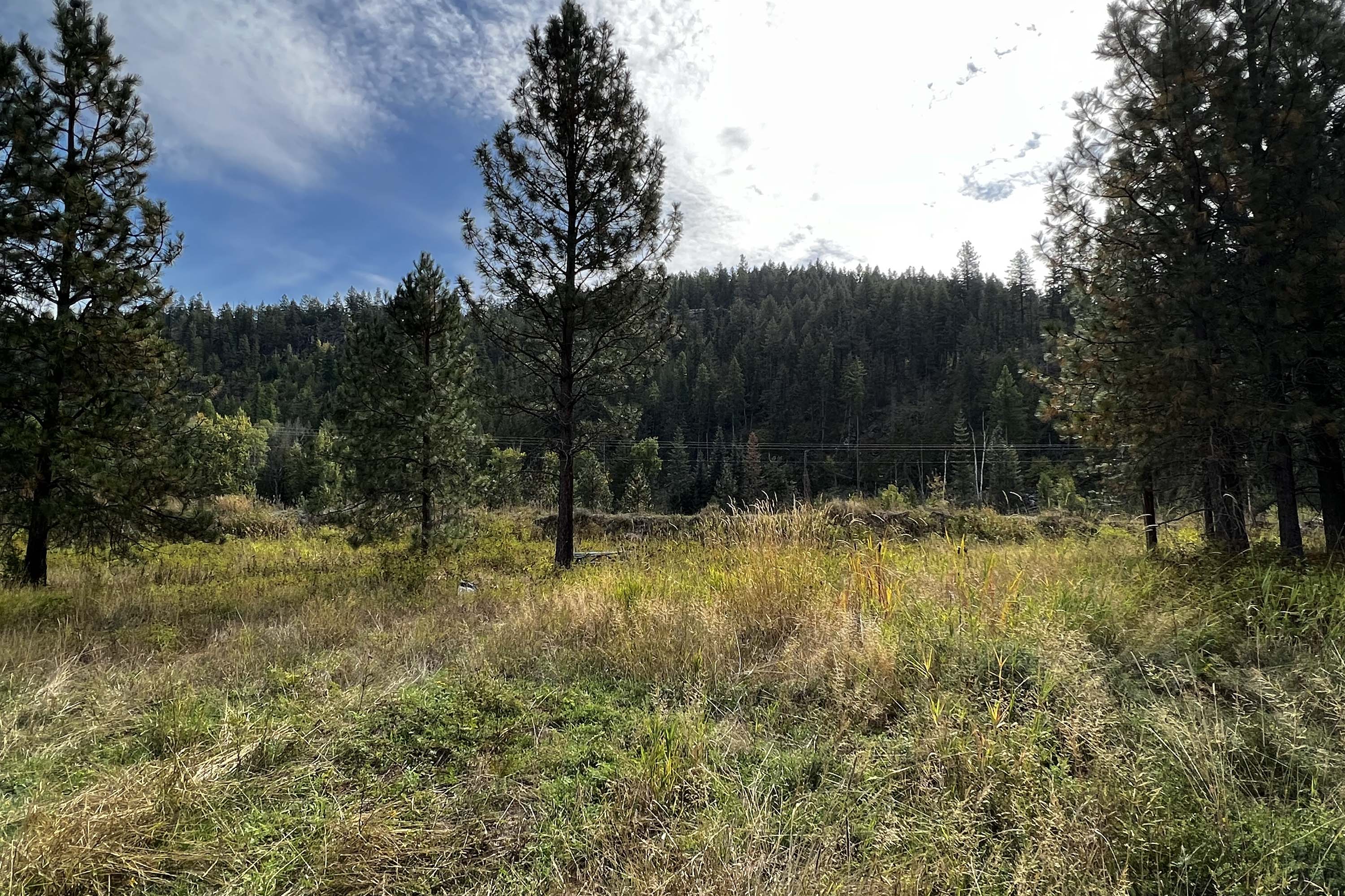 Lakeshore Dr, Sagle, ID 83860 Robb Report