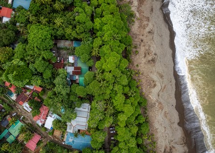 Successful Beachfront Business in Playa Dominical