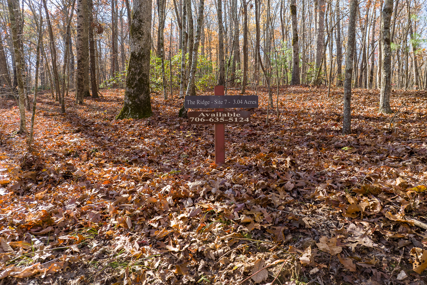 Outstanding Homesite on a Broad, Gentle Hardwood Ridge