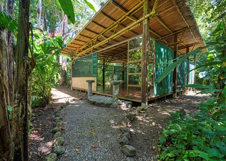 Beachfront Eco Lodge and Retreat in Cabo Matapalo, Osa Peninsula