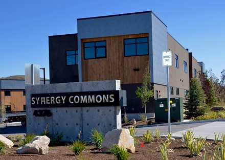 Synergy Commons