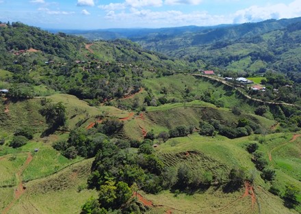 Farm to Develop in Pacuarito