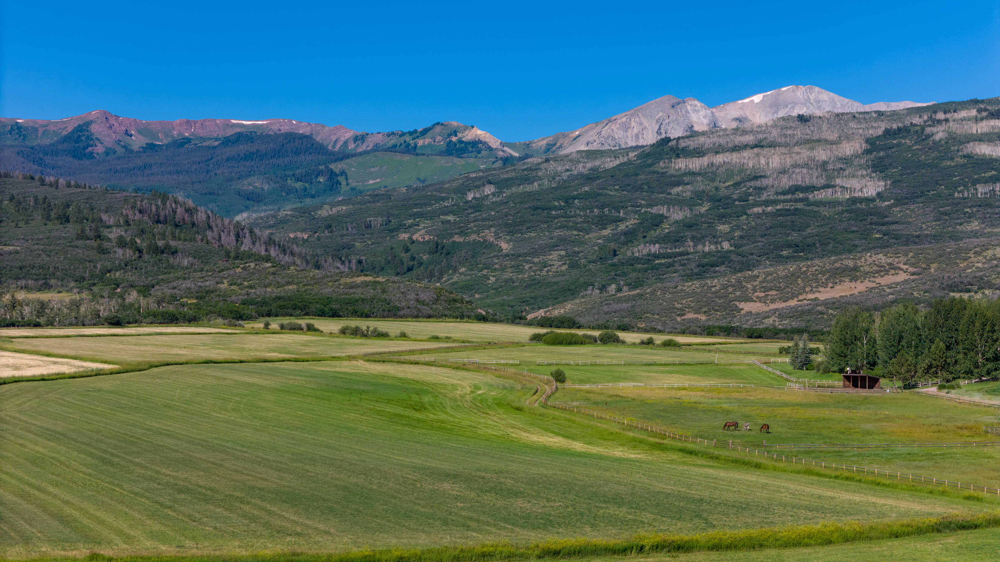 Incredible and rare homesite within the renowned McCabe Ranch