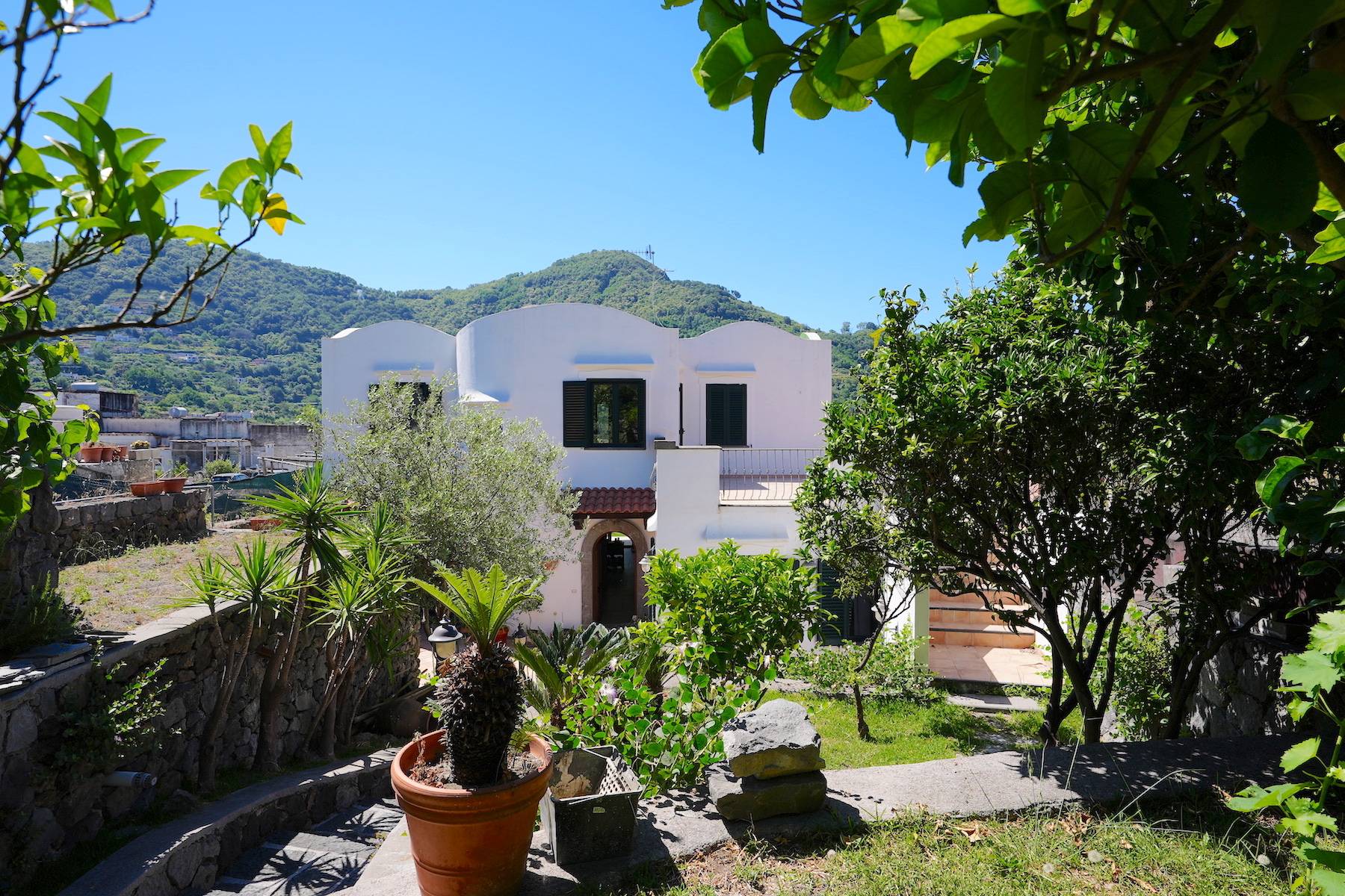 Charming villa nestled in a lush garden