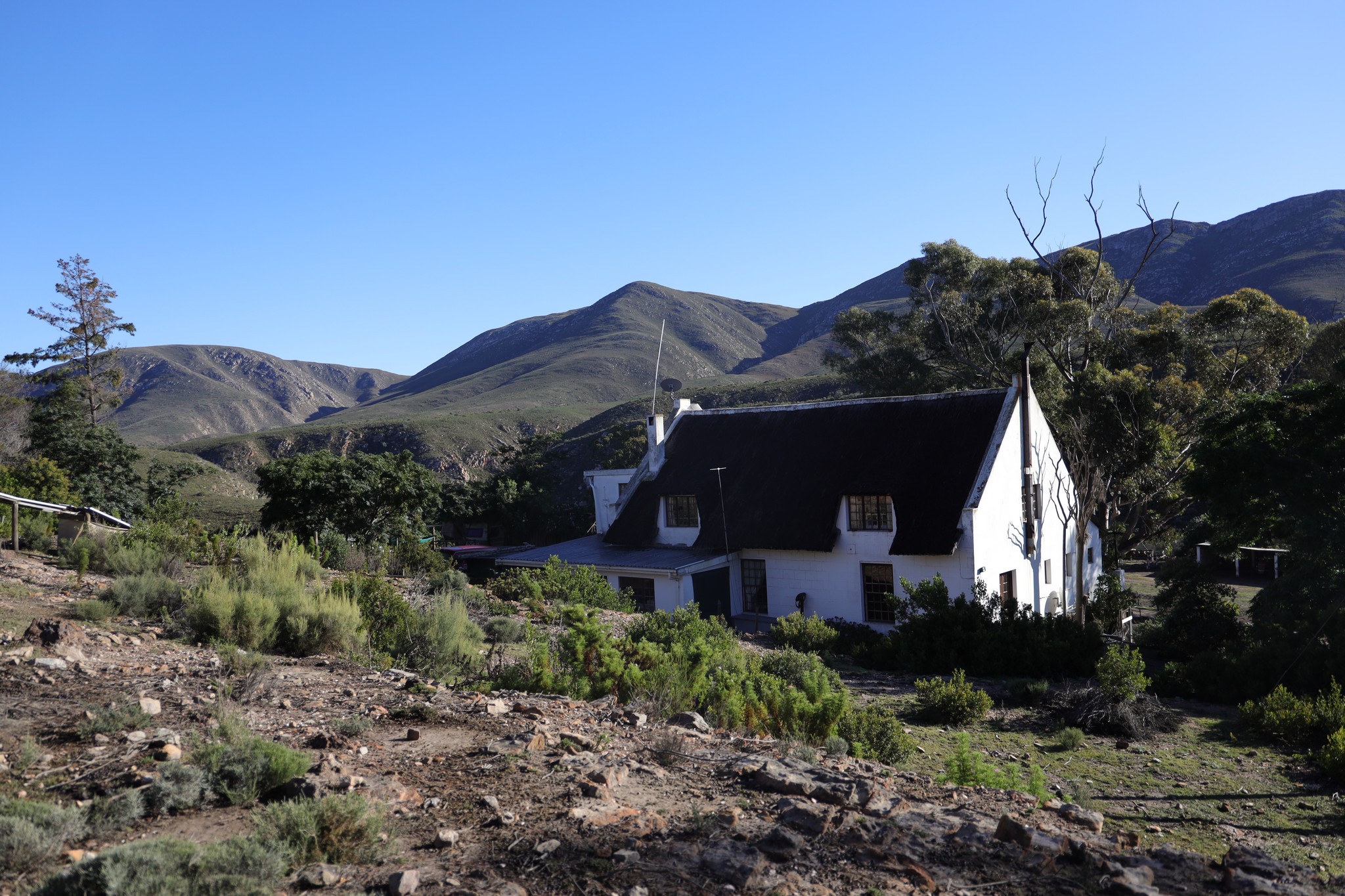 Bonniedale Holiday Farm