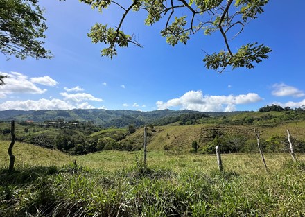 Farm to Develop in Pacuarito