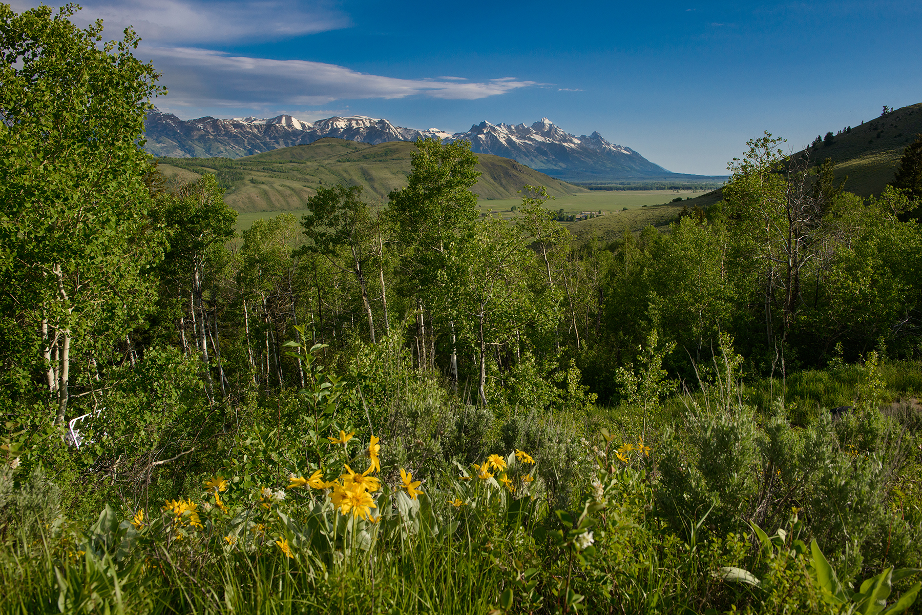 Grand Teton Views on 38 Acres