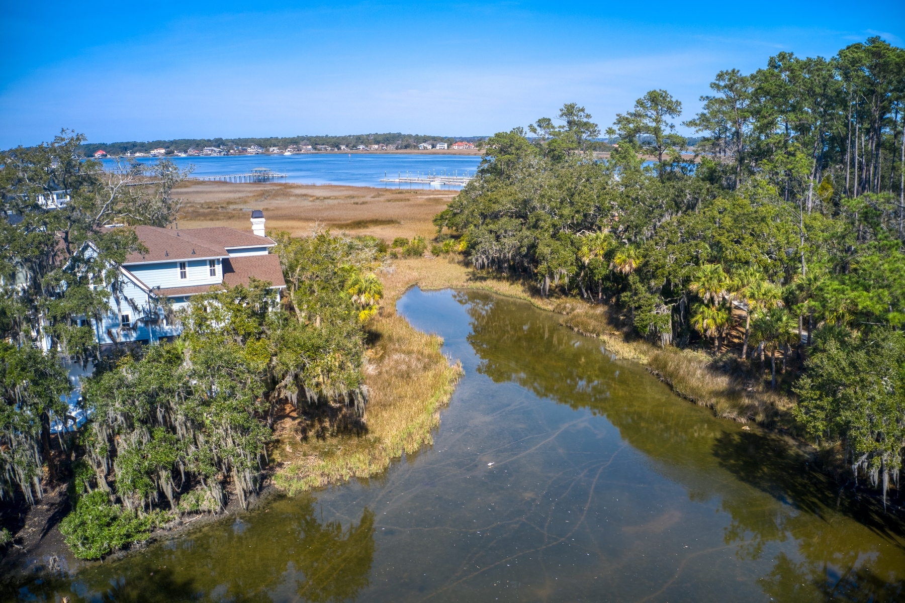 Picturesque lagoon lot with birds and draping oak tree