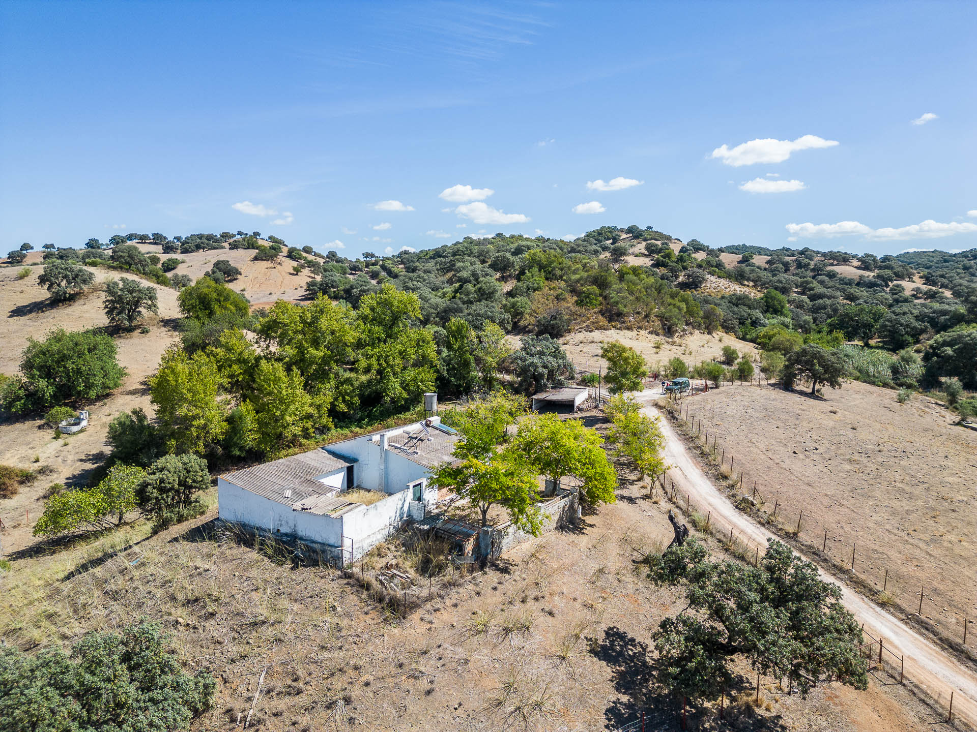 Livestock pasture with farmhouse and stud farm