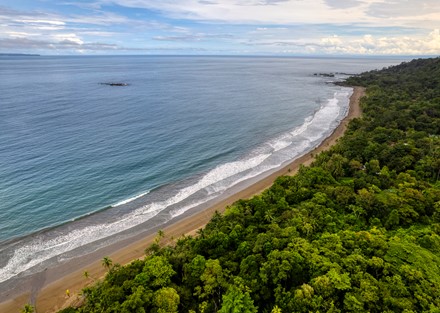 Ready to Divide Eco Beachfront Retreat Property in Drake Bay Ready to Build