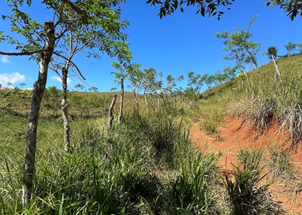 Farm to Develop in Pacuarito