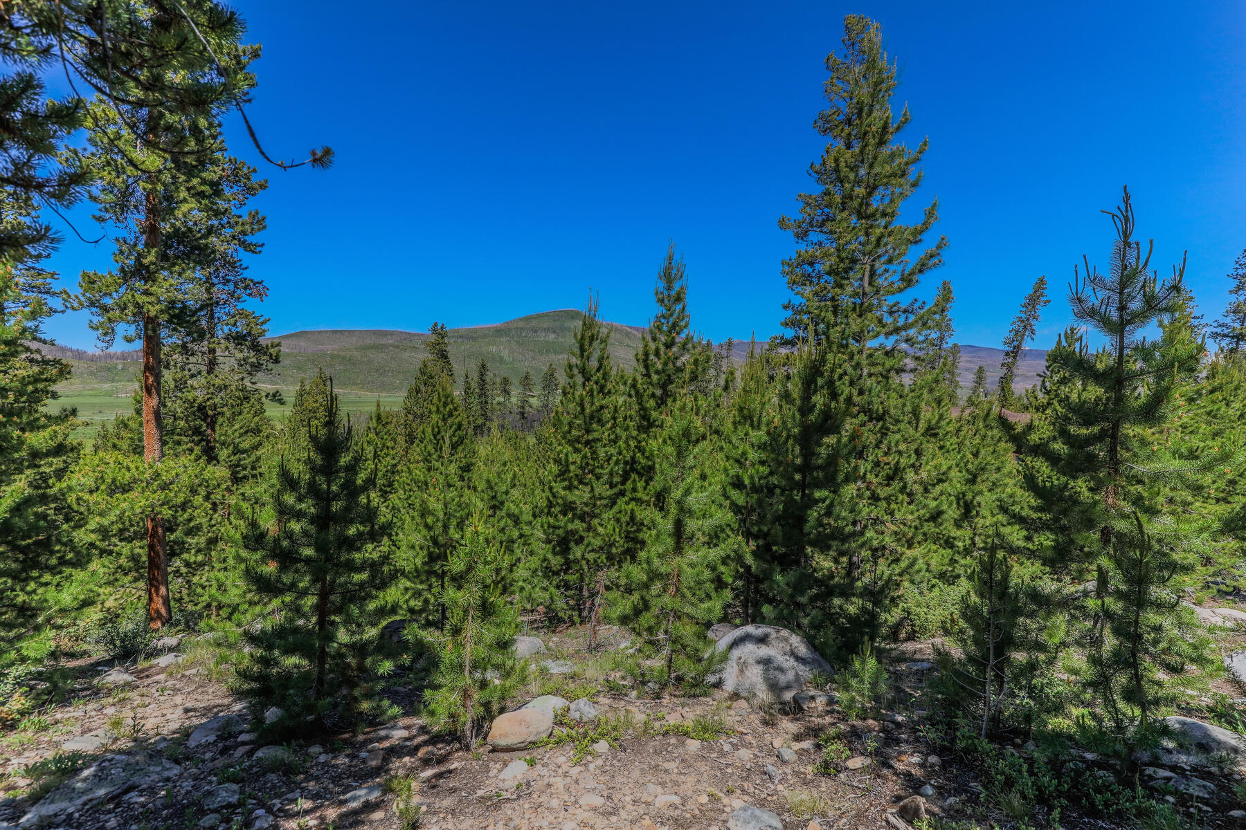 493 Gcr 4632, Grand Lake, CO, 80447