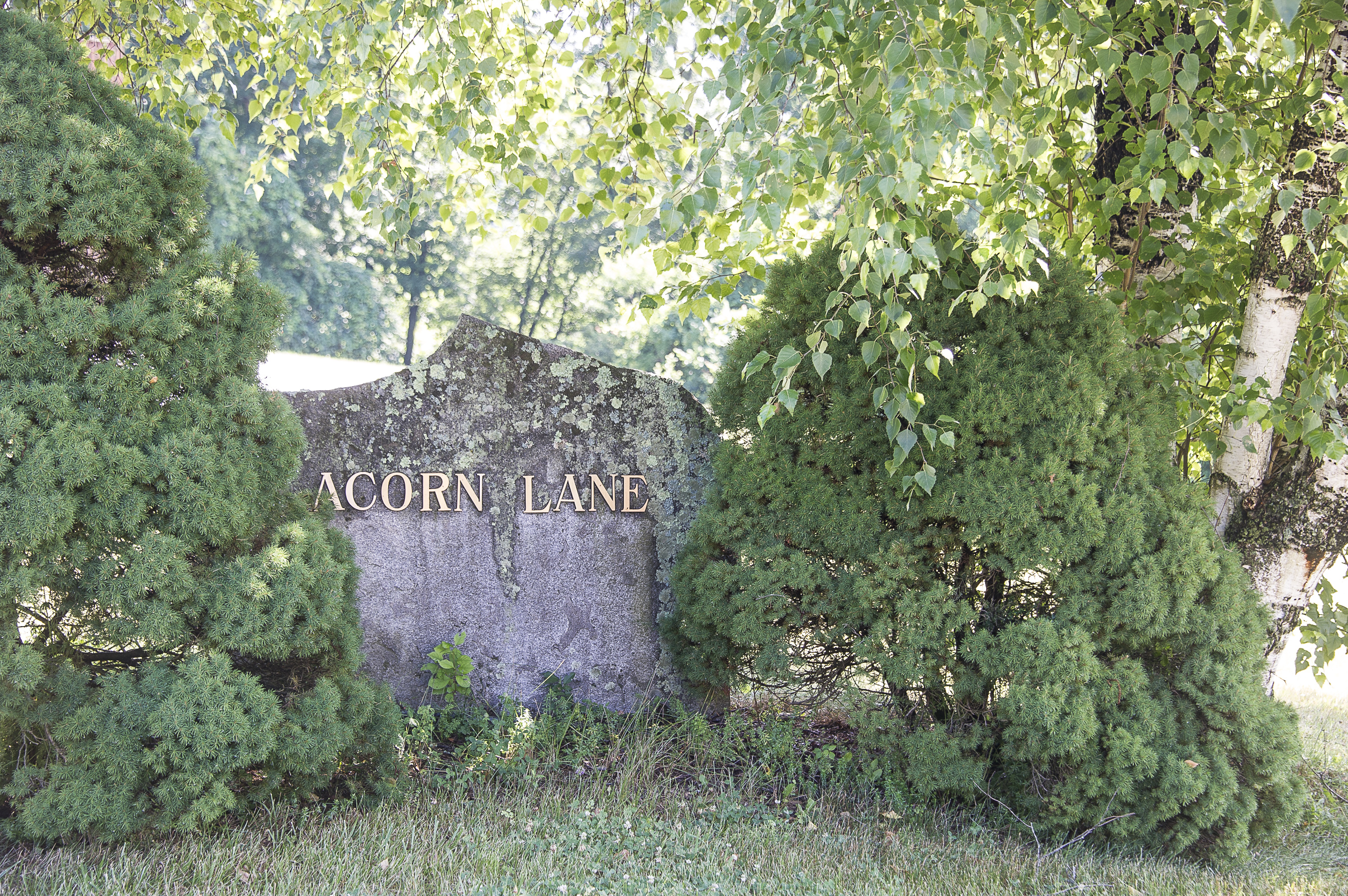 6 Acorn Lane