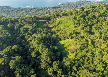 55 acre Escaleras Mountain Ocean view Development or Private Farm