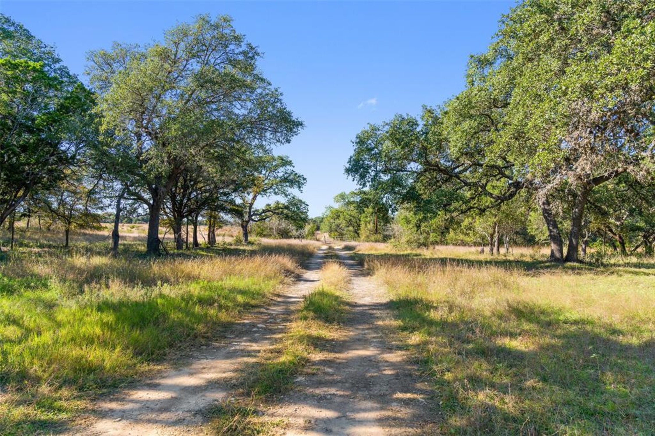 650 Windmill Ridge Drive, Blanco, TX 78606