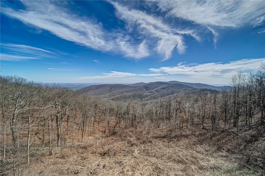 Century 21 Jasper, GA