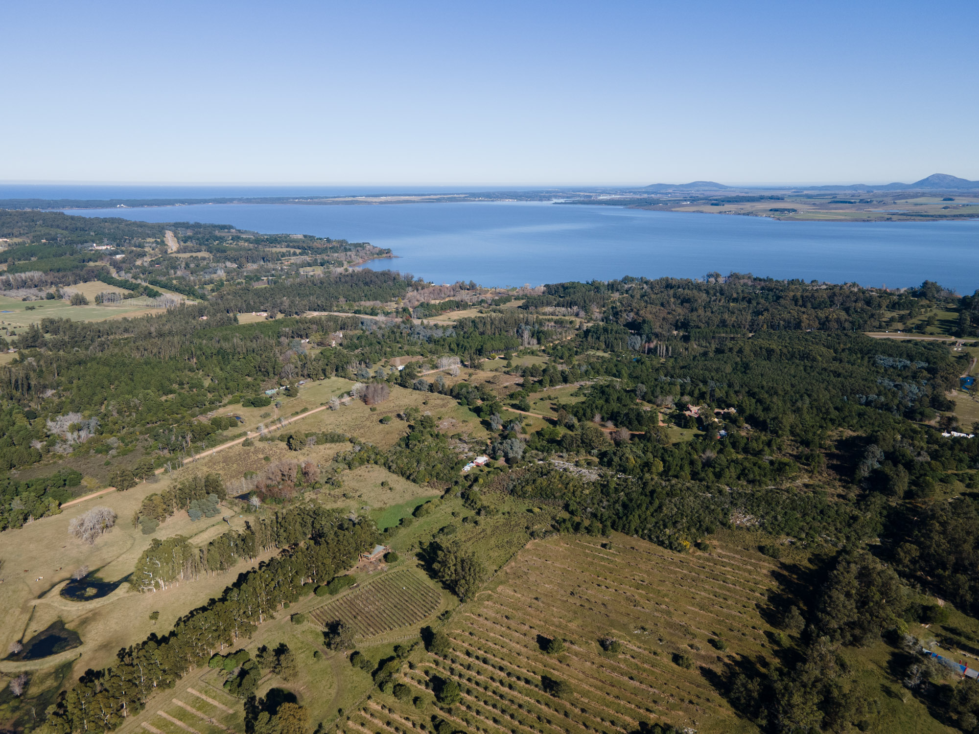 A 36-hectare estate in Laguna del Sauce, Punta del Este