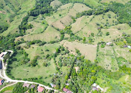 Farm to Develop in Pacuarito