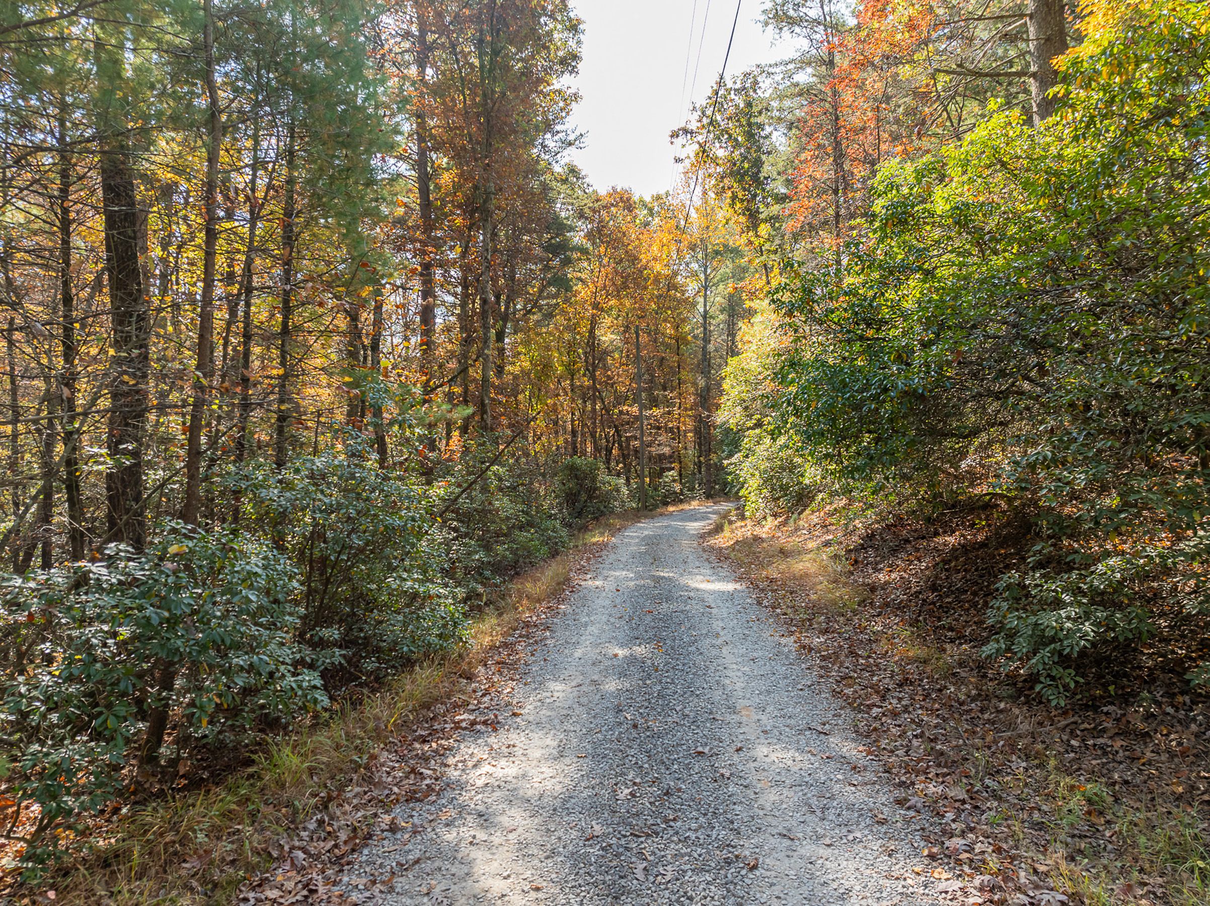 51.96+/- Acres of Untouched Paradise in the Heart of Rich Mountain Wilderness