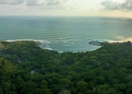 Tropical Paradise Found: Prime Investment Opportunity in Mal Pais