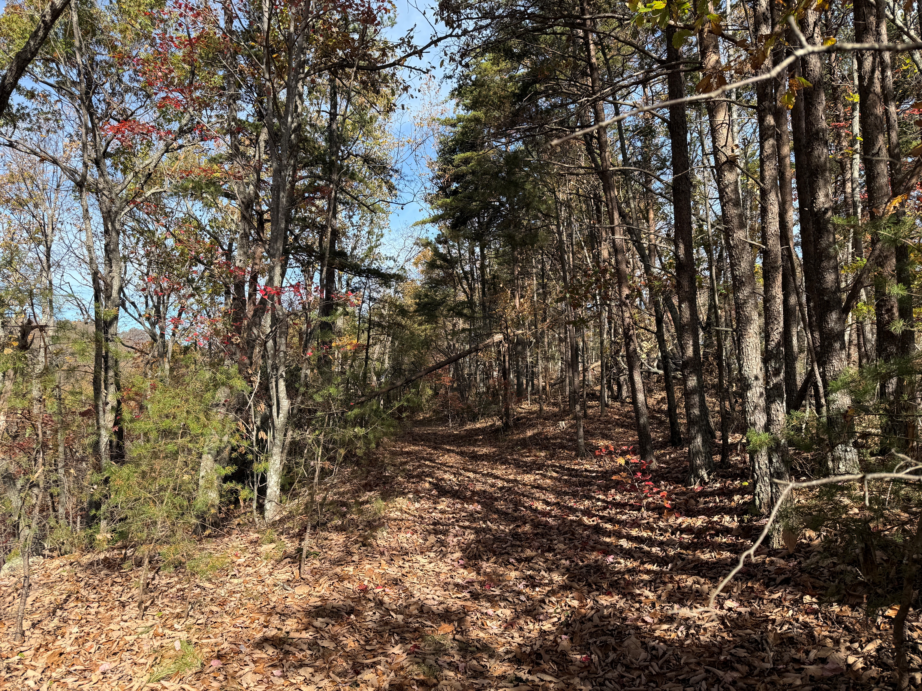 Mountain Lookout Drive