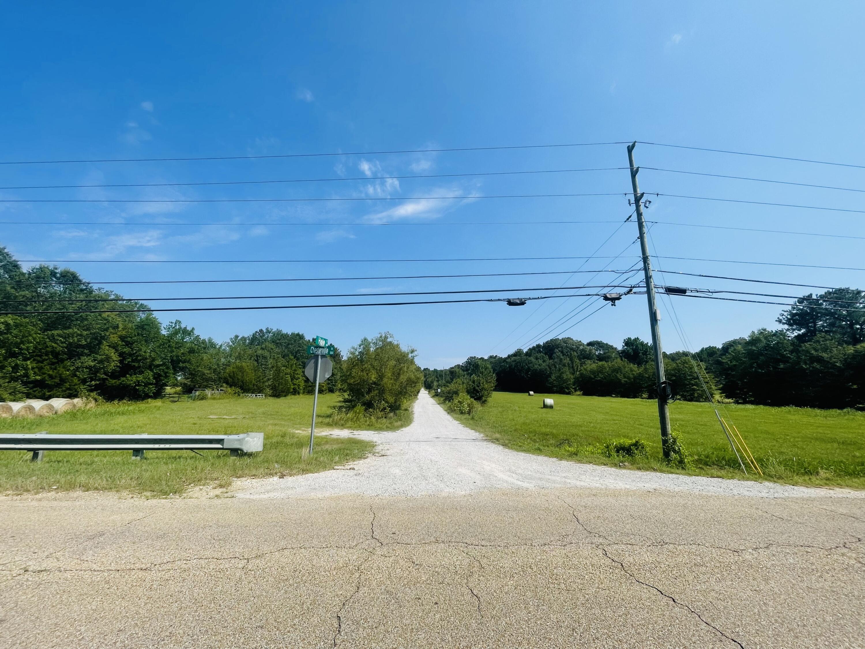 Hale Dr, Tupelo, MS 38801 #1