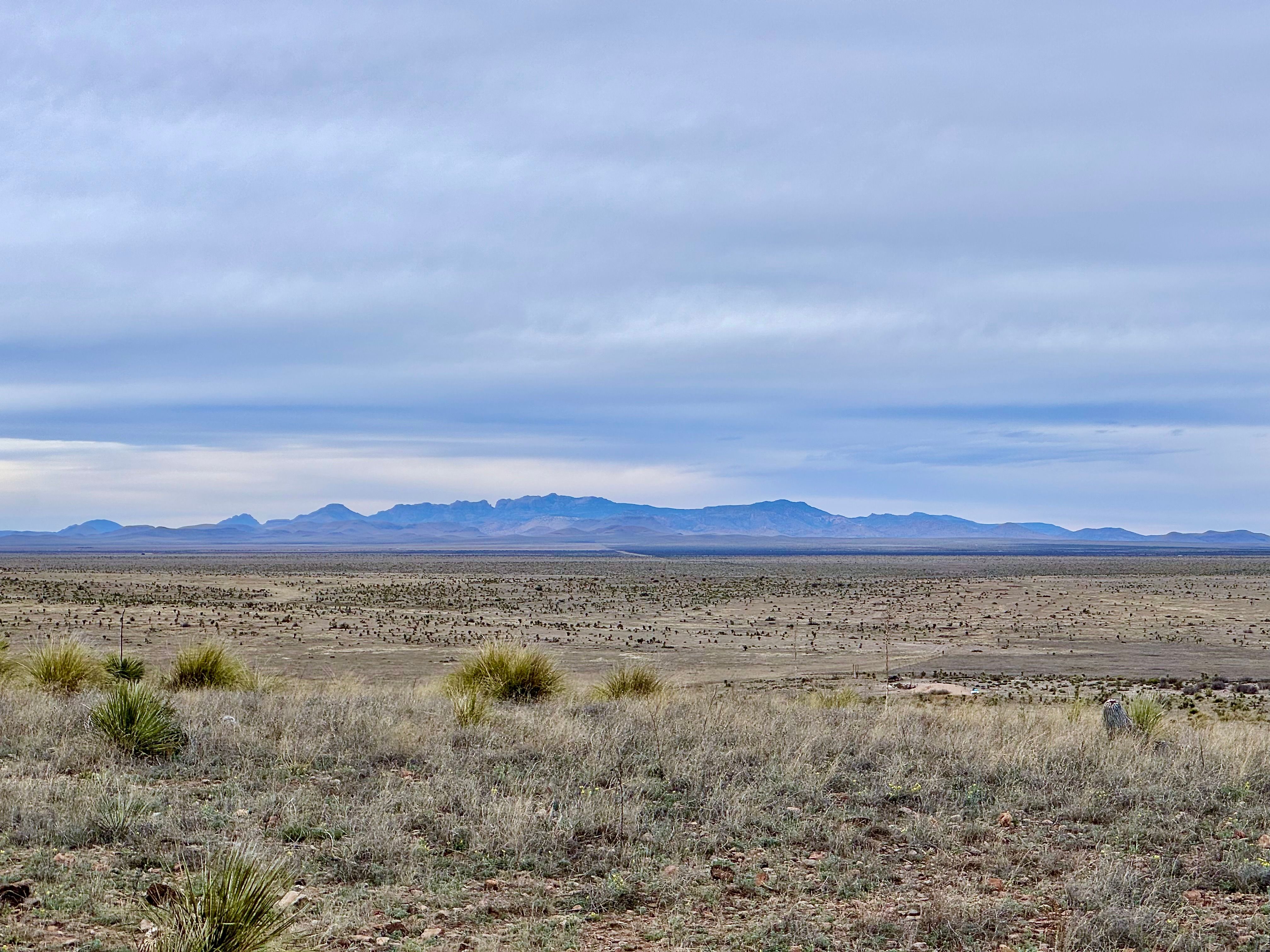 Tract 3 Ranch Road 2810, Marfa, TX 79843