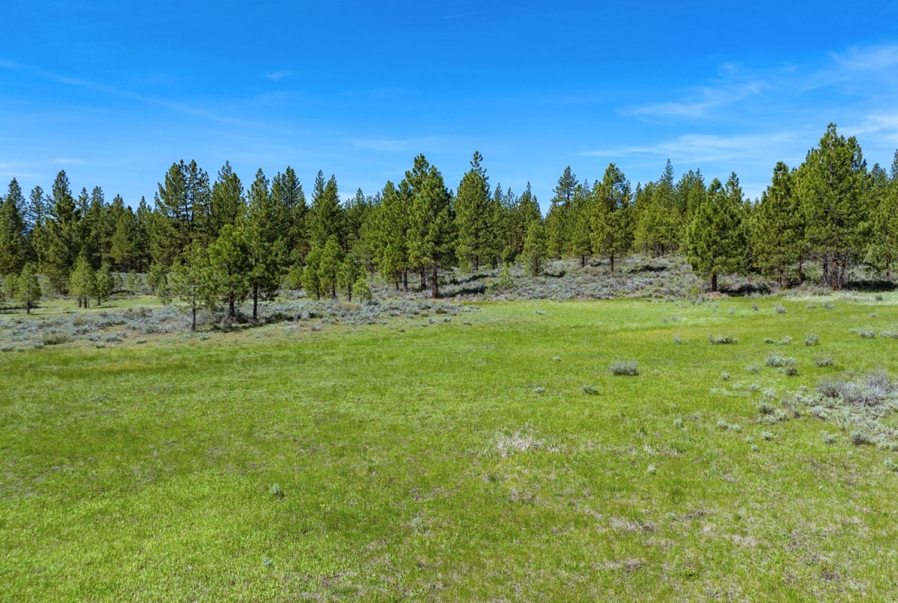 162.5 Acre Wolf Meadows Ranch Parcel