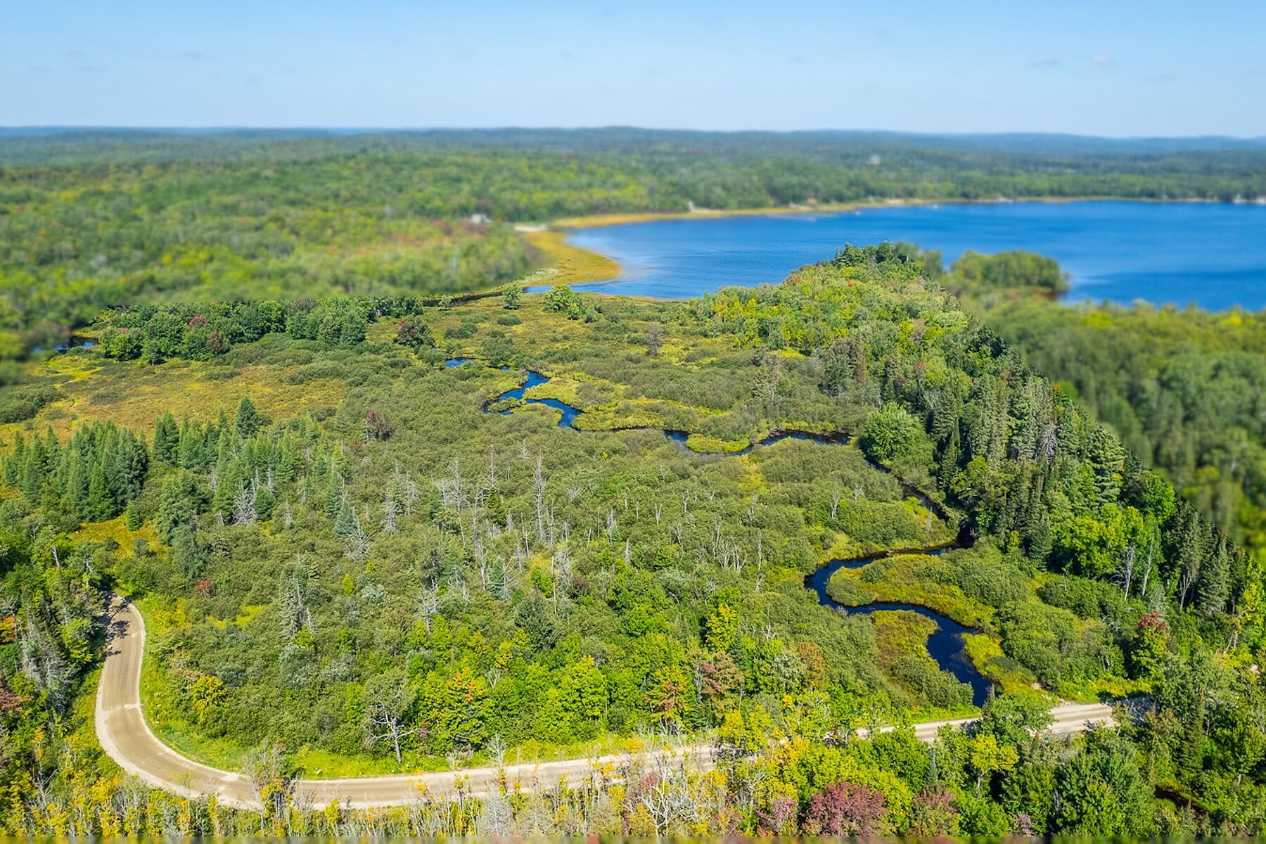 38 Acres on Pickerel Lake