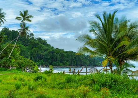 Ready to Divide Eco Beachfront Retreat Property in Drake Bay Ready to Build