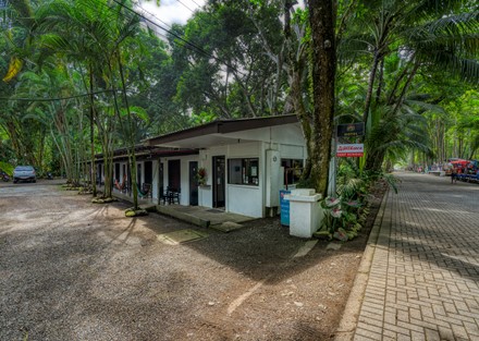 Successful Beachfront Business in Playa Dominical