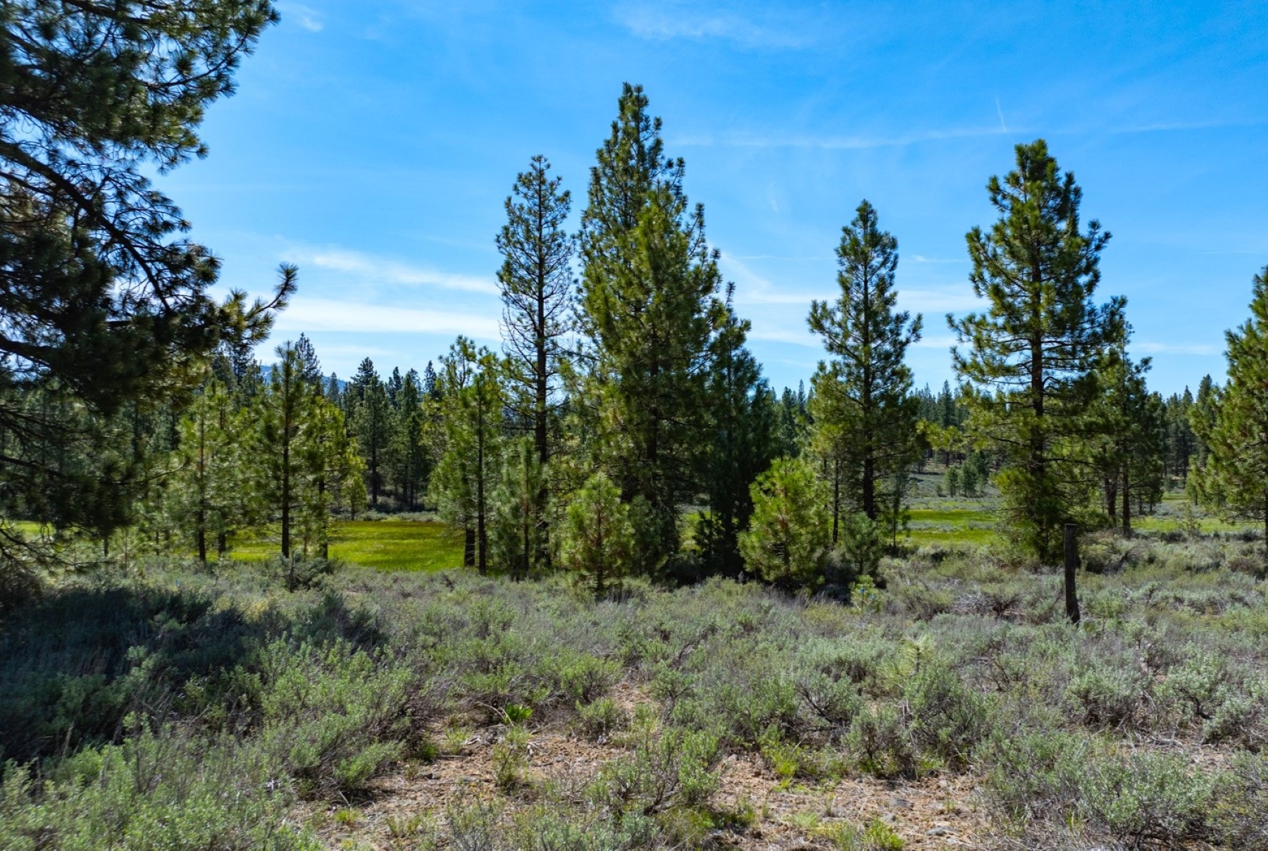 70 Acre parcel at Wolf Meadows Ranch