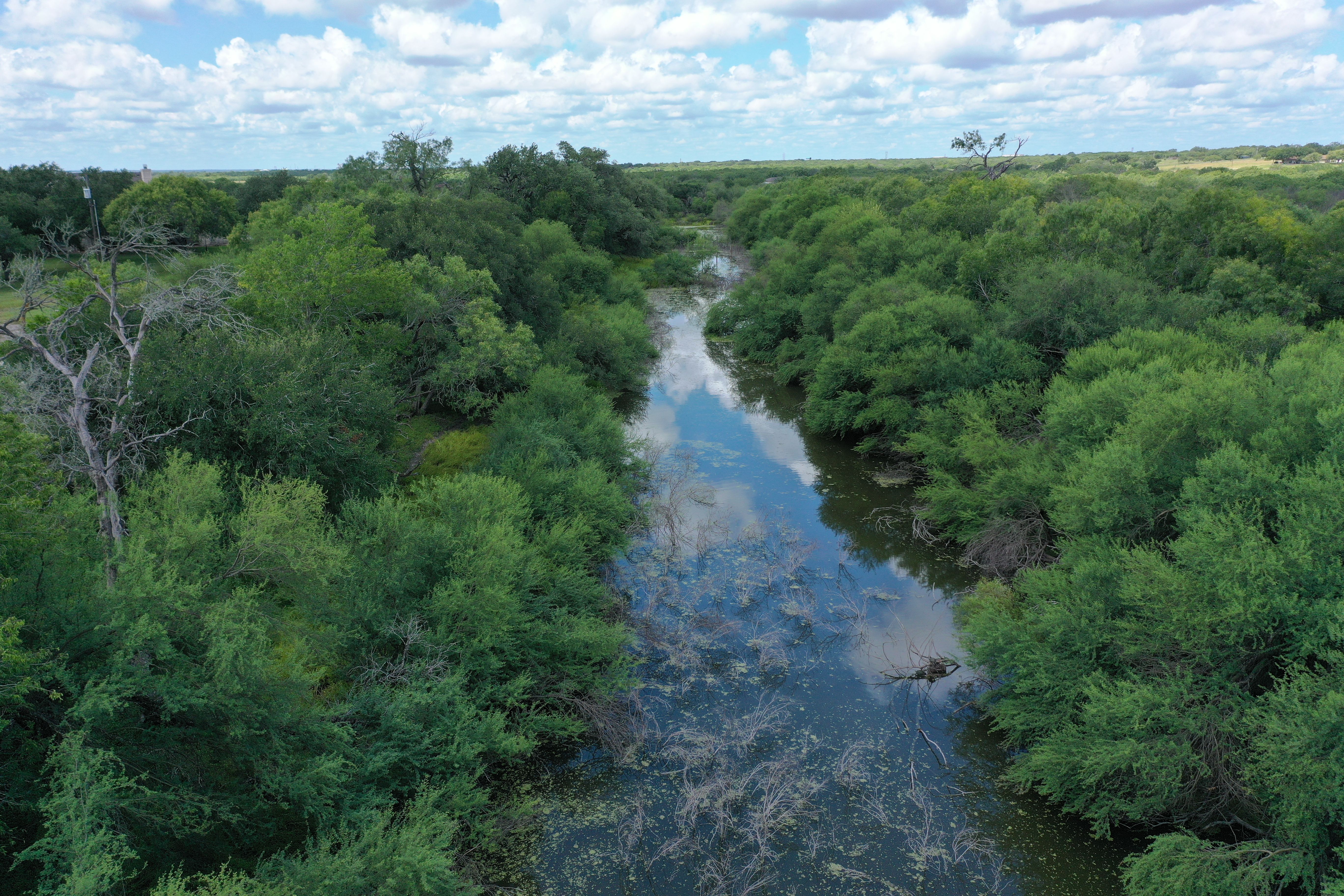 837+/- Acres Driftwood Ranch, Live Oak County, Three Rivers, TX 78071