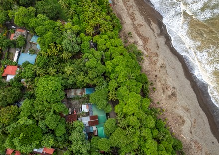 Successful Beachfront Business in Playa Dominical