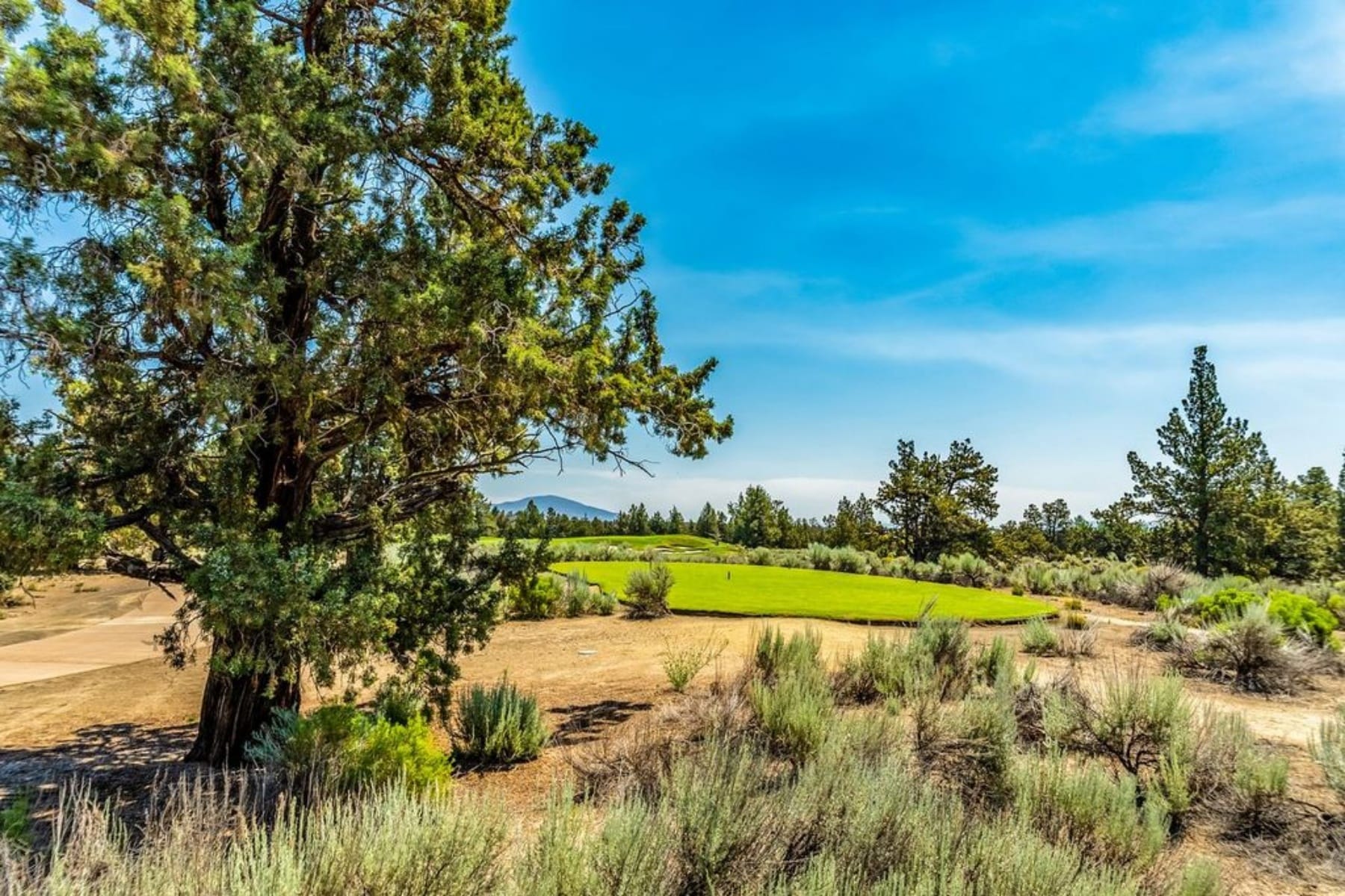 23103 Switchback Court #Lot 95 Bend, OR 97701