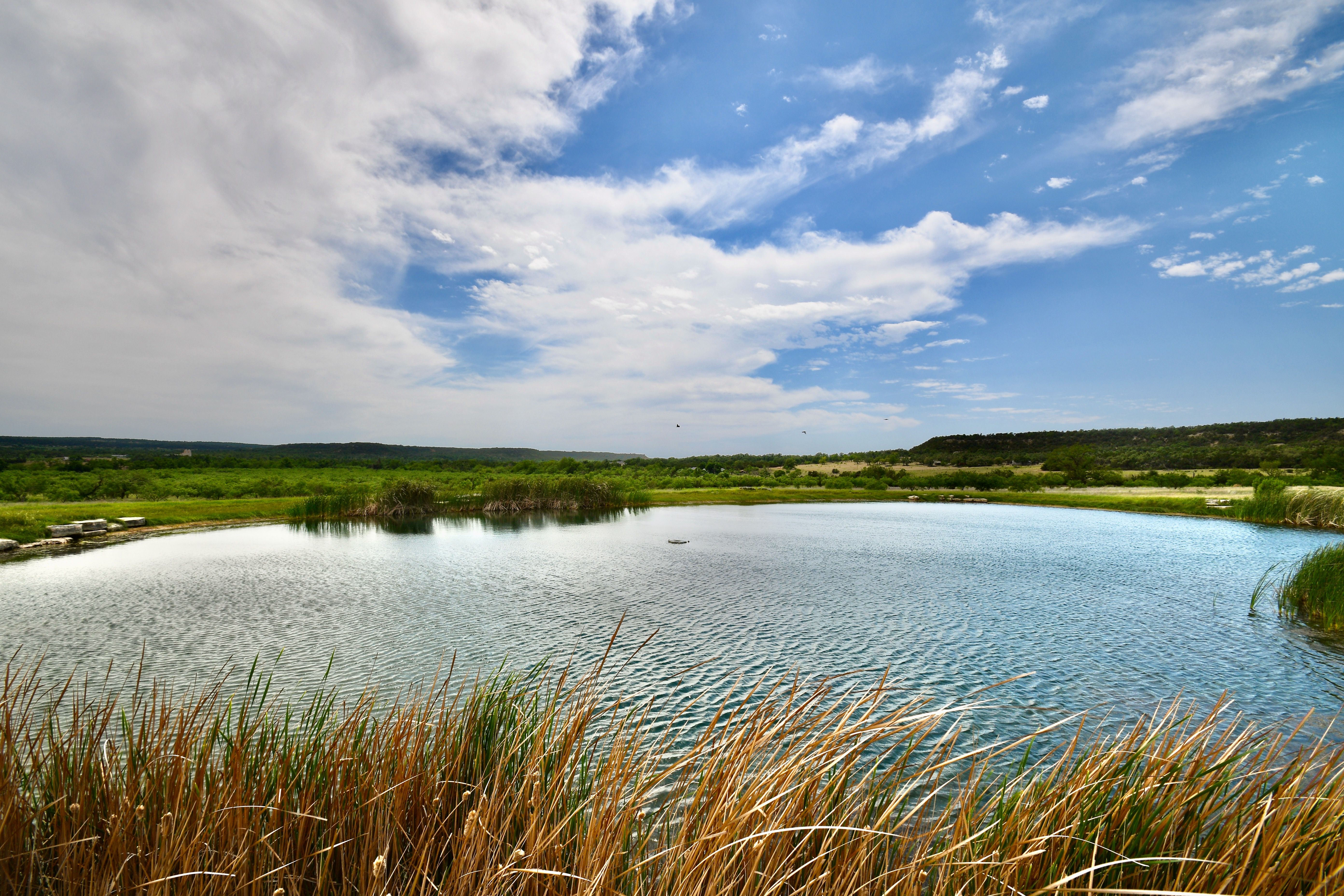 296+/- Acres Contigo Ranch, Gillespie County, Fredericksburg, TX 78624